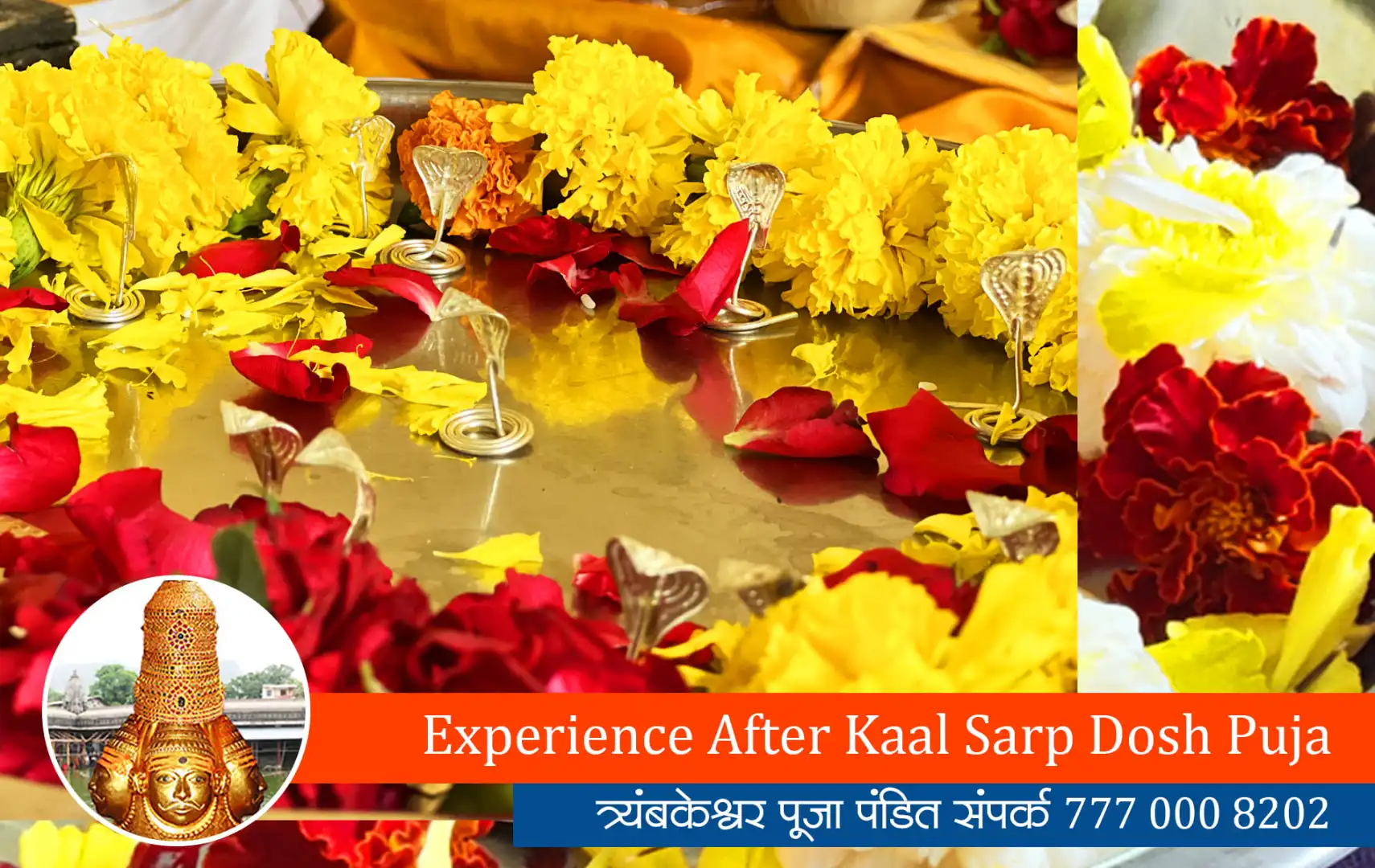 Experience After Kaal Sarp Dosh Puja