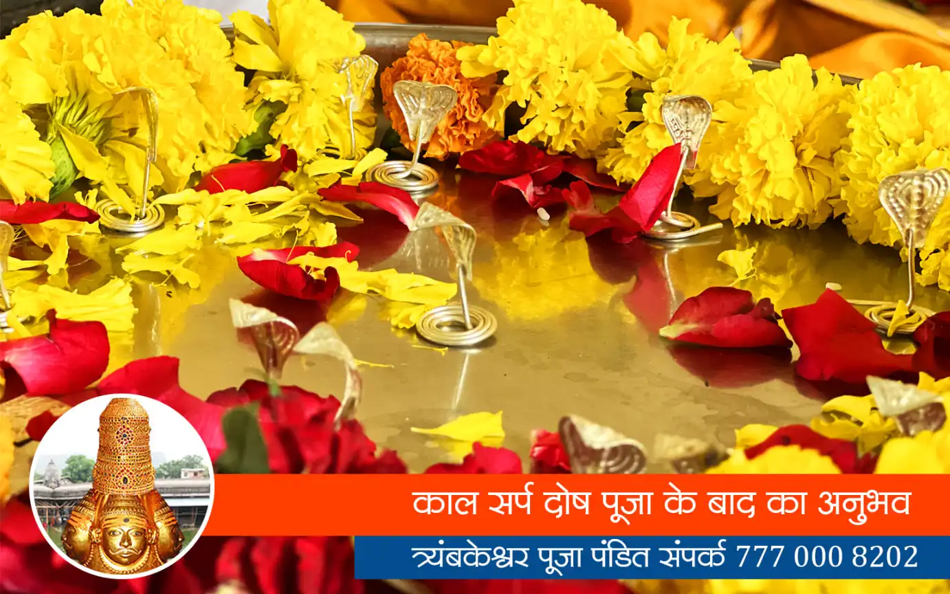 काल सर्प दोष पूजा के बाद का अनुभव