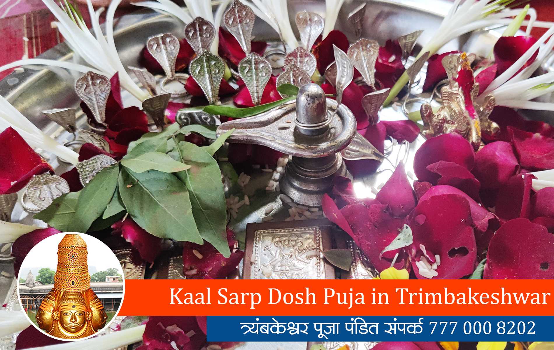 Kaal Sarp Dosh Puja in Trimbakeshwar
