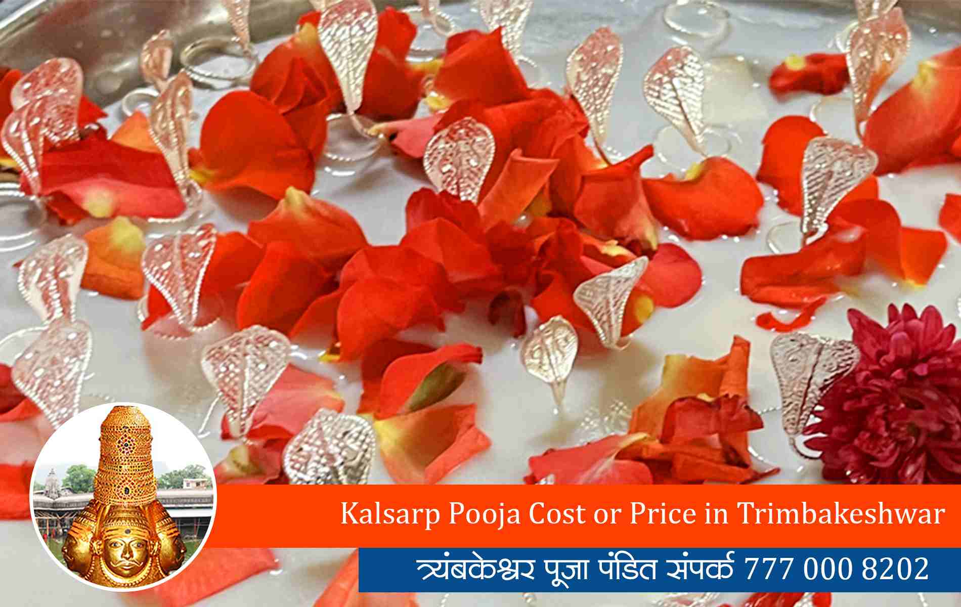 Kalsarp Pooja Cost or Price in Trimbakeshwar