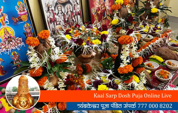 Kaal Sarp Dosh Puja Online Live
